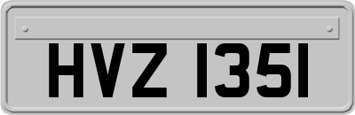 HVZ1351