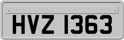 HVZ1363