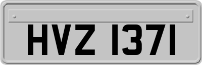 HVZ1371