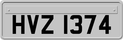 HVZ1374
