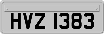 HVZ1383