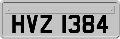 HVZ1384