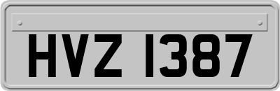 HVZ1387