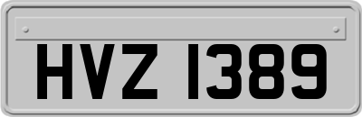HVZ1389