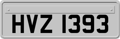 HVZ1393