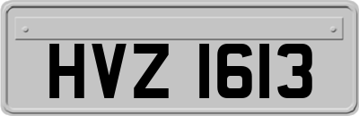 HVZ1613