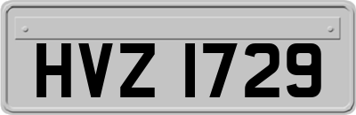 HVZ1729