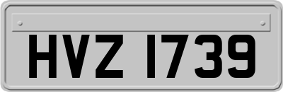 HVZ1739