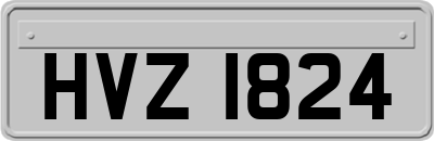 HVZ1824