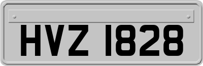 HVZ1828