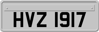 HVZ1917