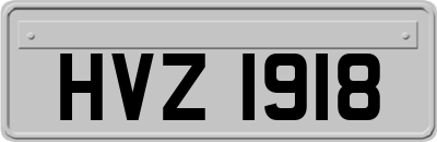 HVZ1918