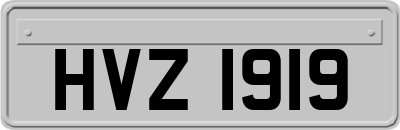 HVZ1919