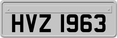HVZ1963