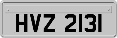 HVZ2131