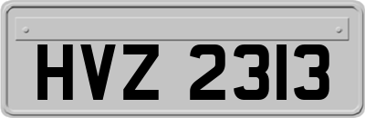 HVZ2313