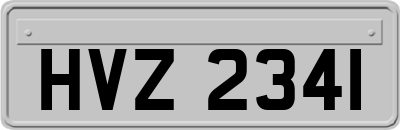 HVZ2341