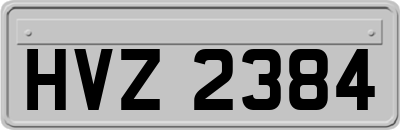 HVZ2384