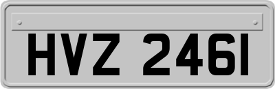 HVZ2461