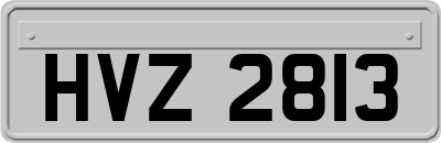 HVZ2813