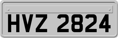 HVZ2824