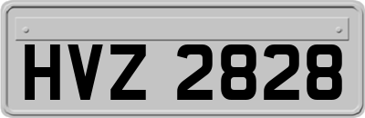 HVZ2828