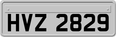 HVZ2829