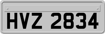 HVZ2834