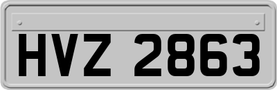 HVZ2863
