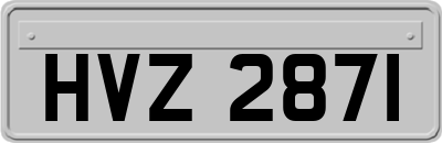 HVZ2871