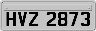 HVZ2873