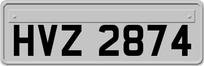 HVZ2874