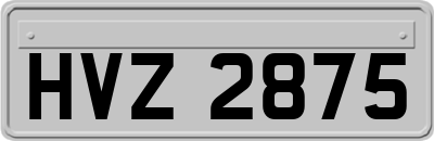 HVZ2875