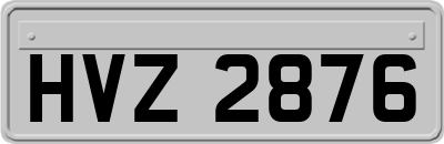 HVZ2876