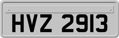 HVZ2913