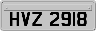 HVZ2918
