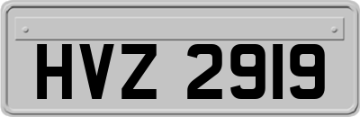HVZ2919