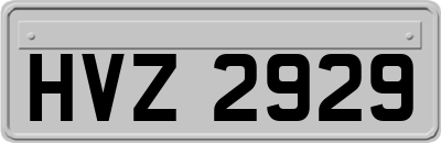 HVZ2929