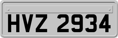 HVZ2934