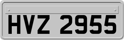 HVZ2955
