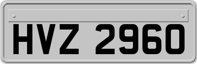 HVZ2960