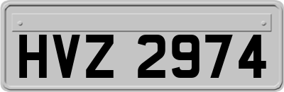 HVZ2974