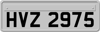 HVZ2975