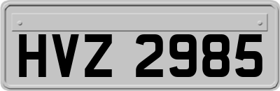 HVZ2985