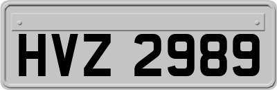 HVZ2989