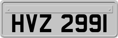 HVZ2991