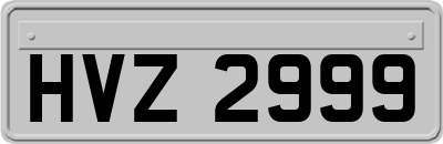HVZ2999