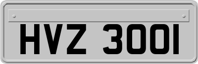 HVZ3001