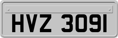 HVZ3091