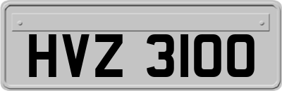 HVZ3100